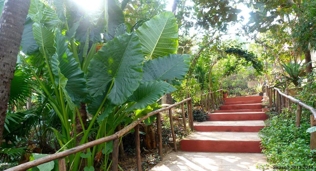 Secret Garden Resort Patnem Beach Bagian luar foto